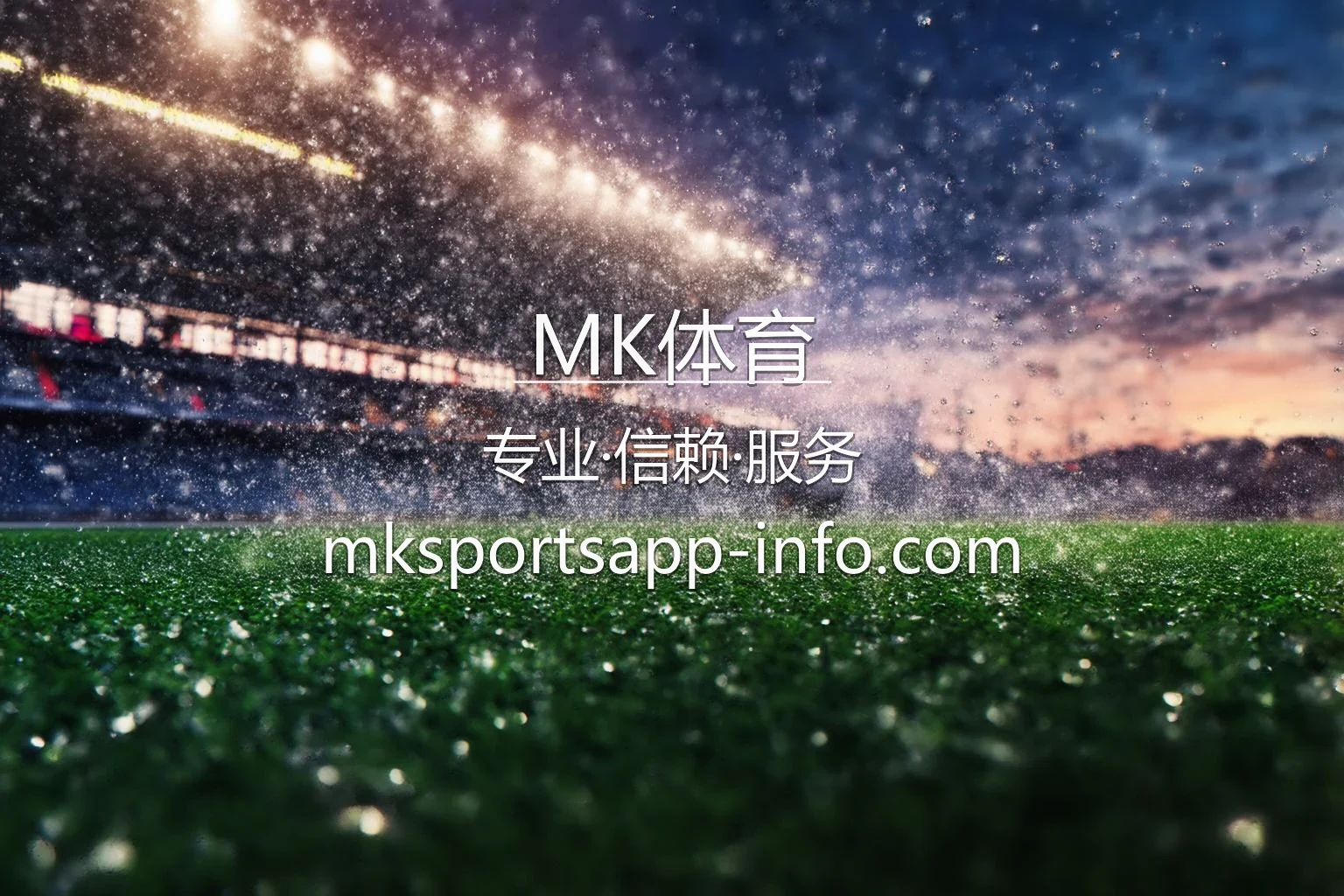 MK体育官方直播控制台